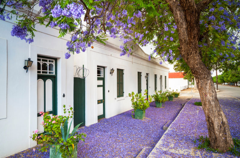 Graaff-Reinet-Rentals---Eastern-Cape